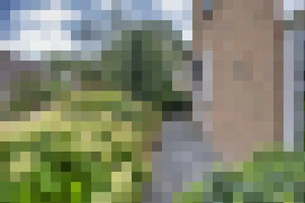 Foet 5 Sneek thumbnail 52