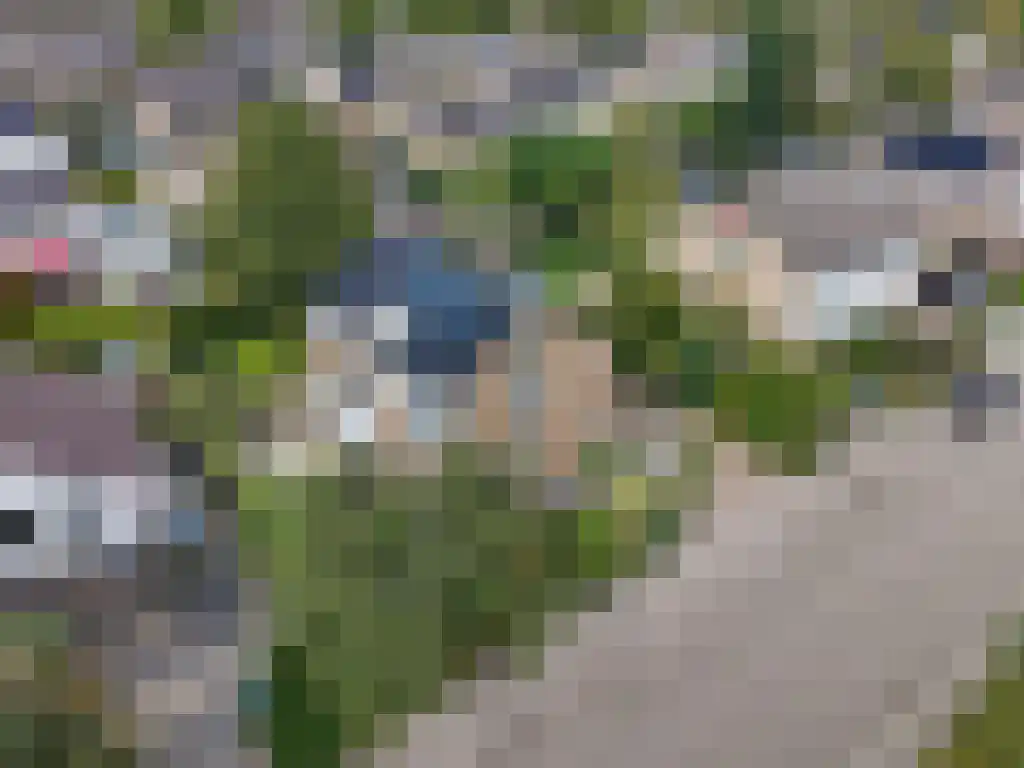 Foet 5 Sneek thumbnail 57