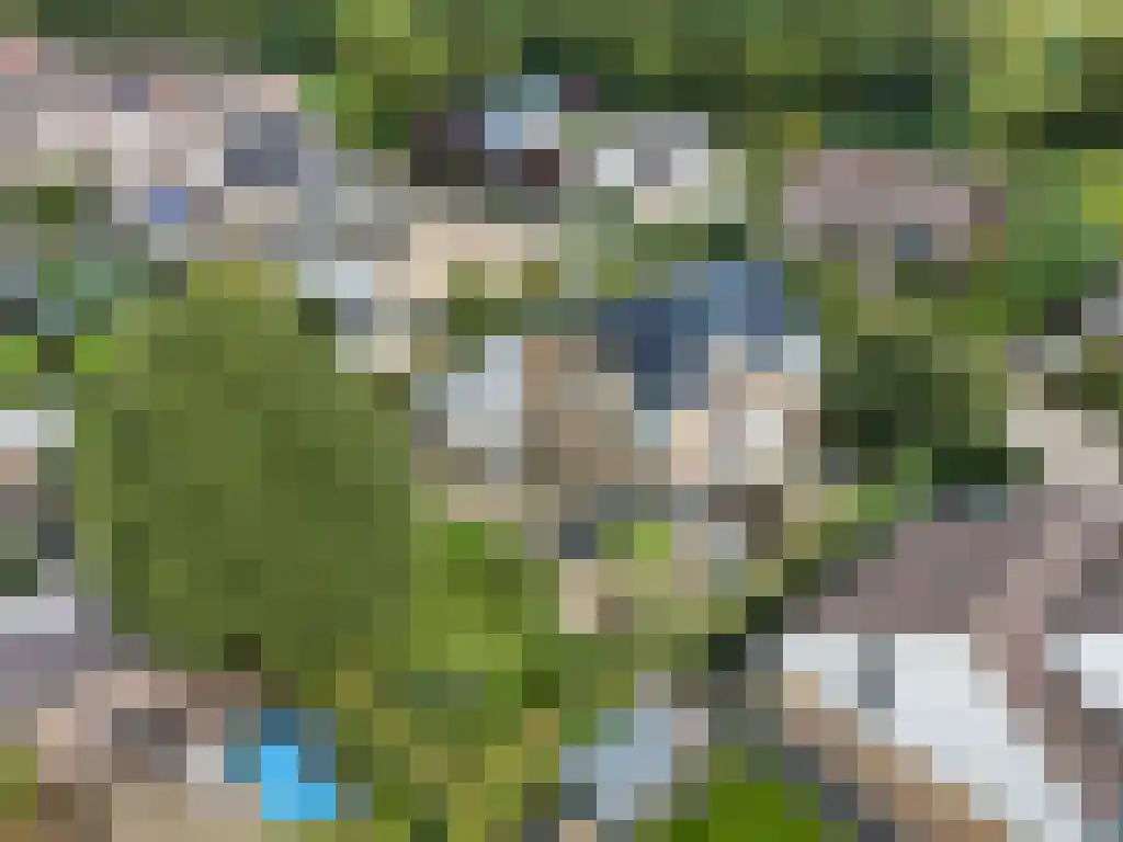 Foet 5 Sneek thumbnail 59