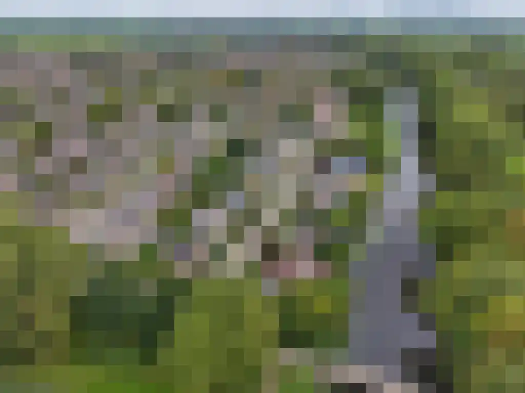 Foet 5 Sneek thumbnail 6