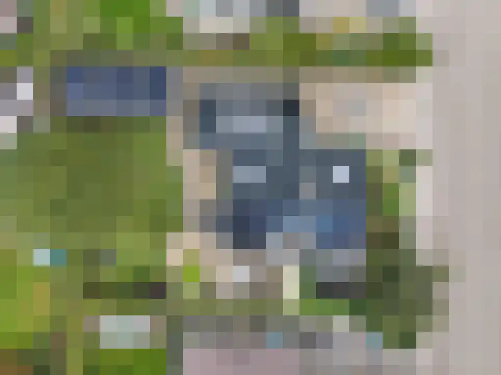 Foet 5 Sneek thumbnail 60