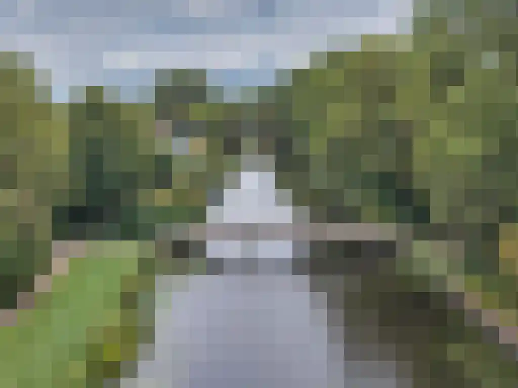 Foet 5 Sneek thumbnail 61