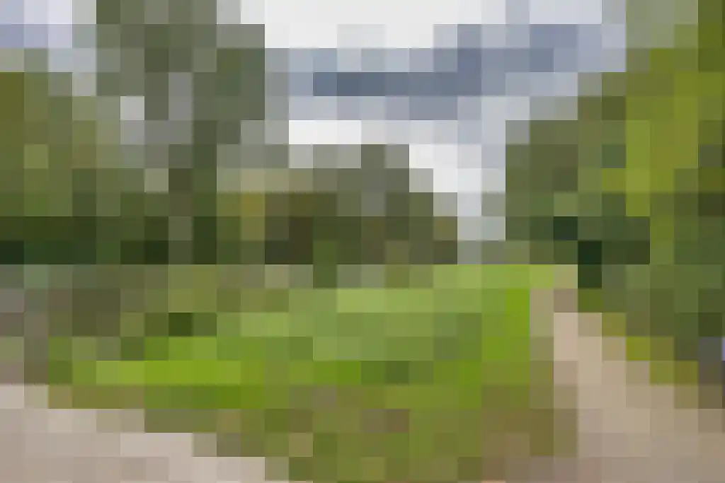 Foet 5 Sneek thumbnail 64