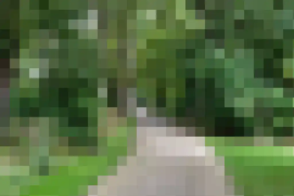 Foet 5 Sneek thumbnail 65