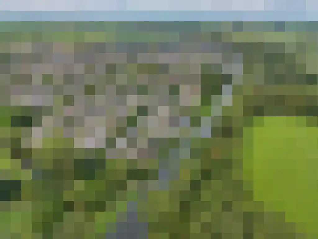 Foet 5 Sneek thumbnail 66