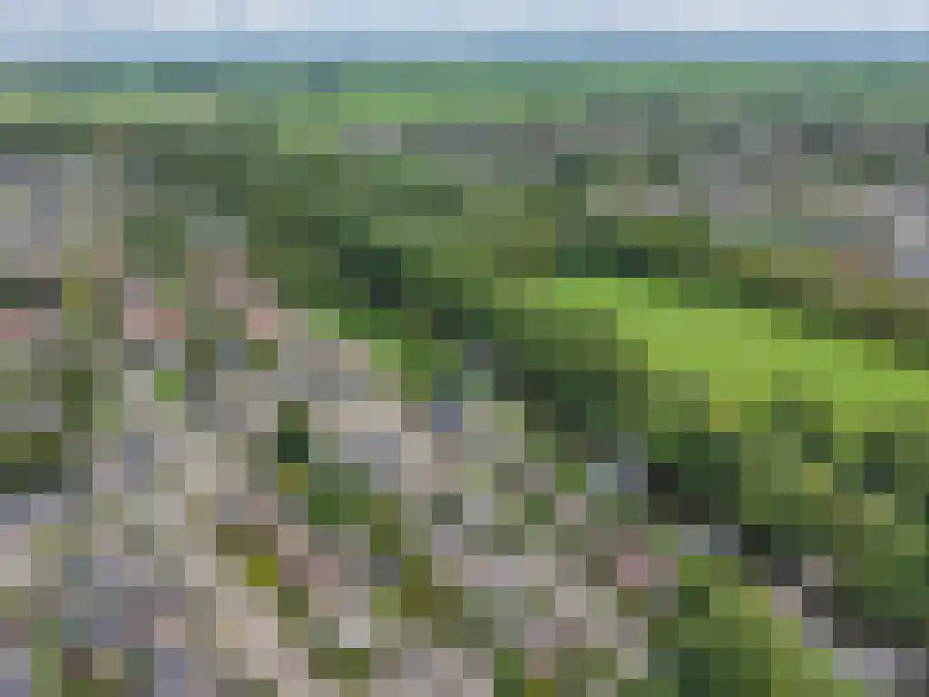 Foet 5 Sneek thumbnail 67