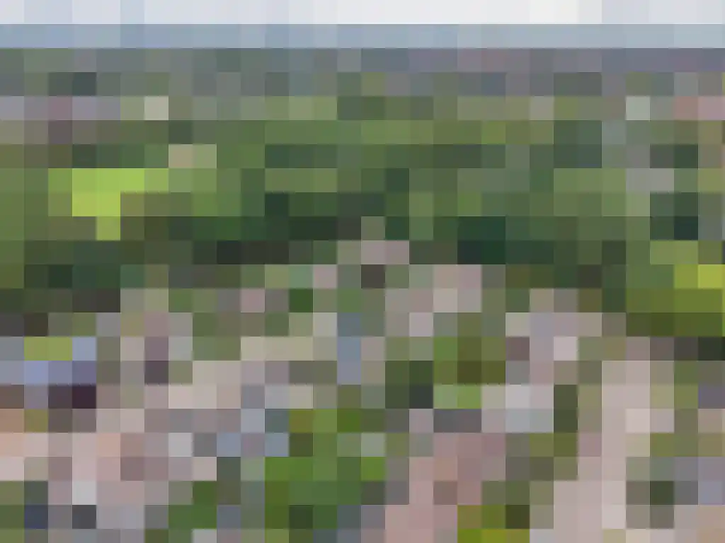 Foet 5 Sneek thumbnail 68