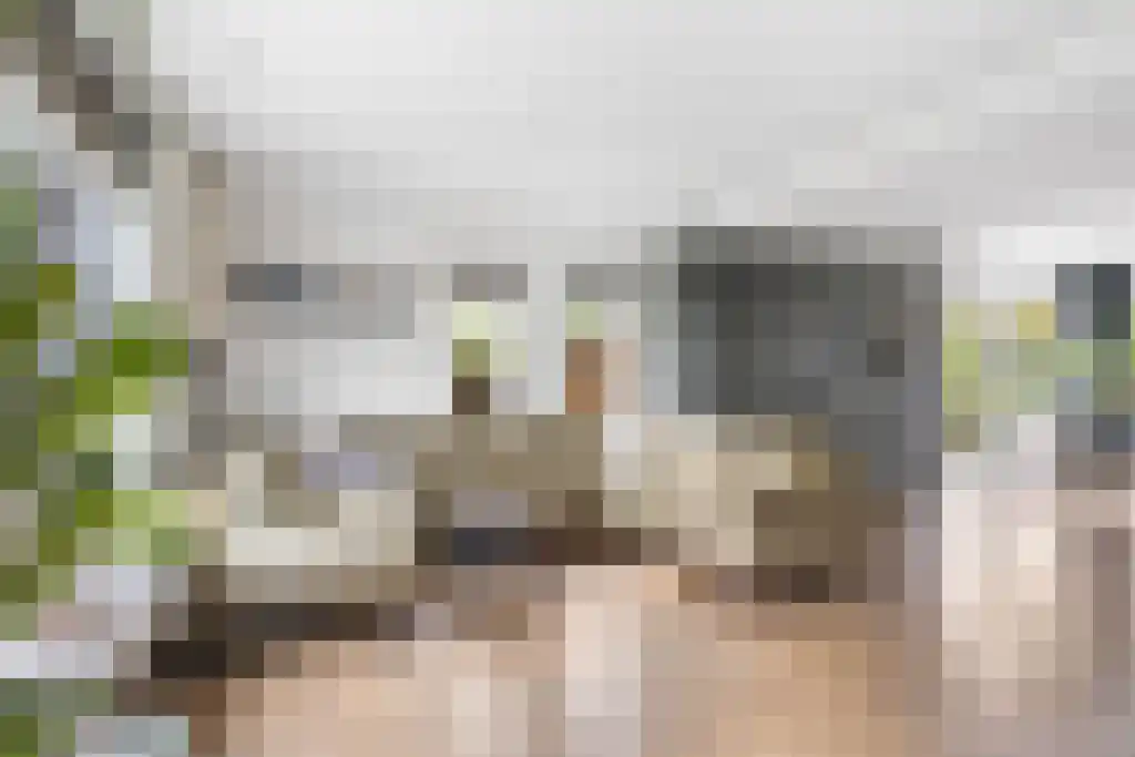 Foet 5 Sneek thumbnail 7