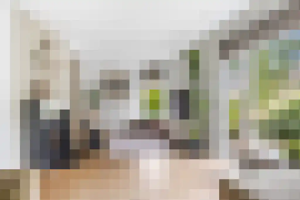 Foet 5 Sneek thumbnail 9