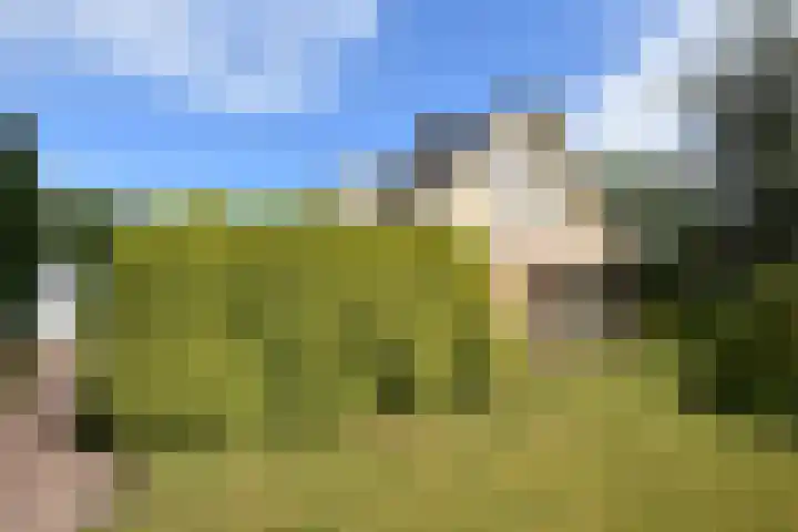 Fogelsang 24 De Westereen thumbnail 10