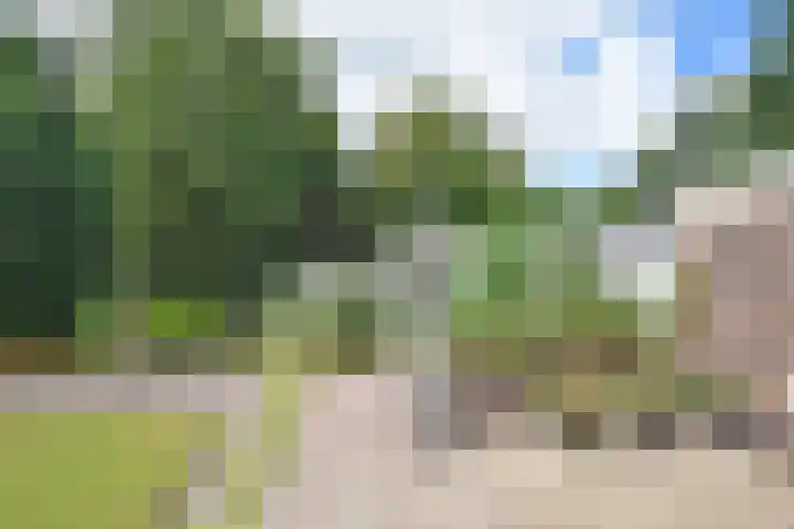 Fogelsang 24 De Westereen thumbnail 13