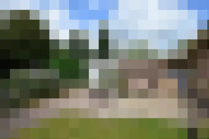 Fogelsang 24 De Westereen thumbnail 14