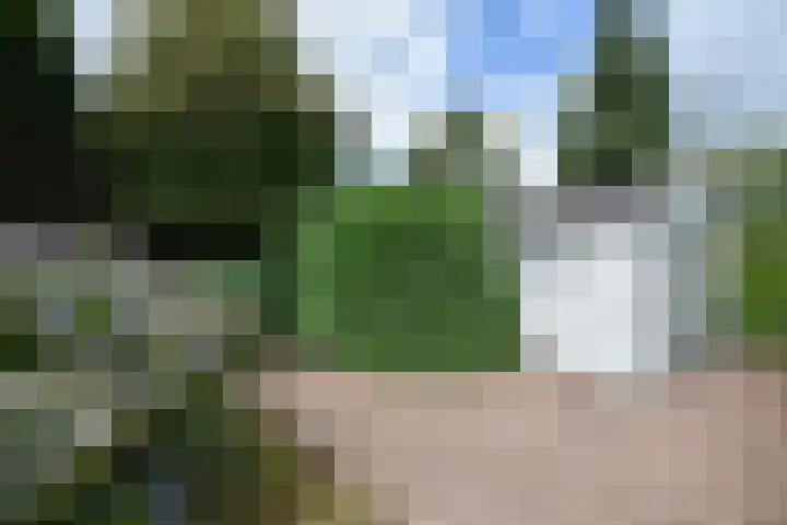 Fogelsang 24 De Westereen thumbnail 15