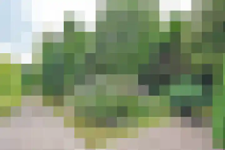 Fogelsang 24 De Westereen thumbnail 16