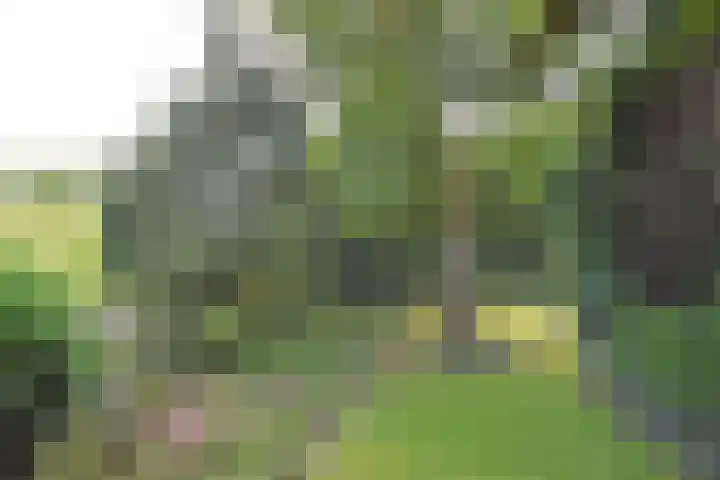 Fogelsang 24 De Westereen thumbnail 17