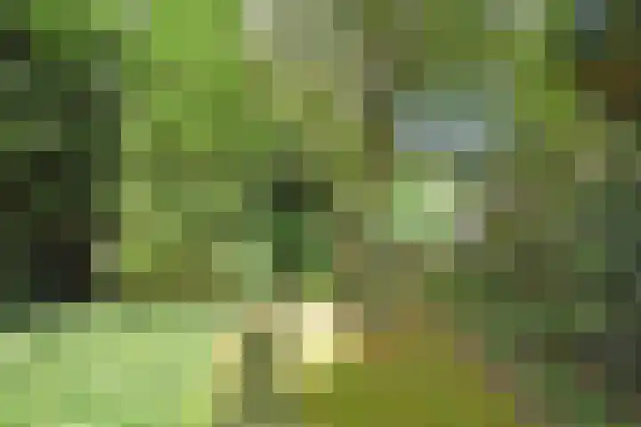 Fogelsang 24 De Westereen thumbnail 18