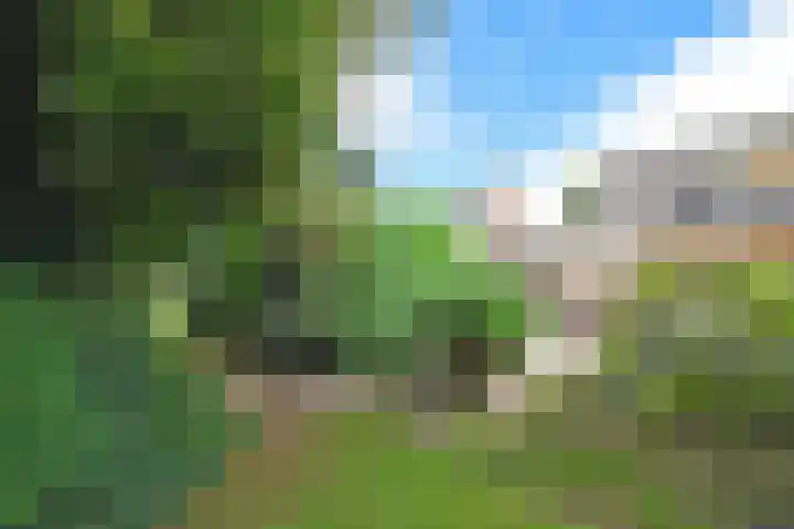 Fogelsang 24 De Westereen thumbnail 19