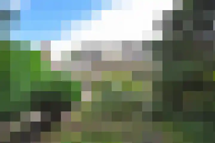 Fogelsang 24 De Westereen thumbnail 20