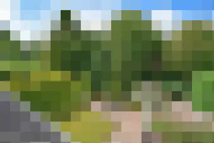 Fogelsang 24 De Westereen thumbnail 21