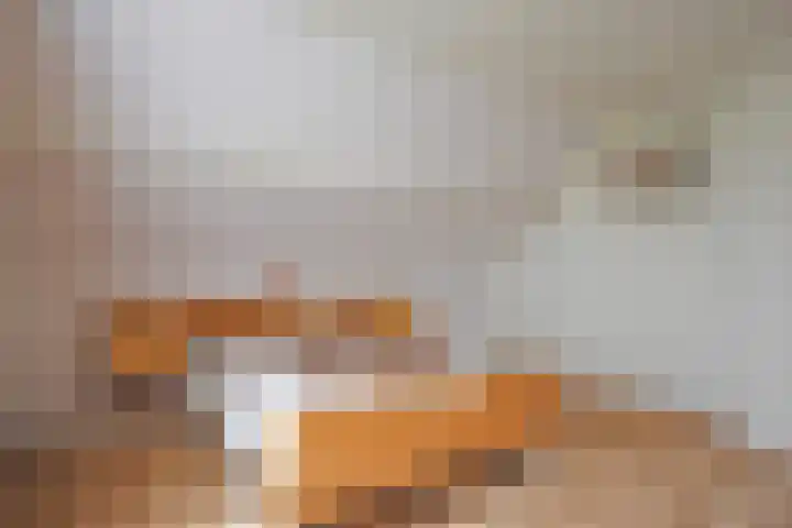 Fogelsang 24 De Westereen thumbnail 48