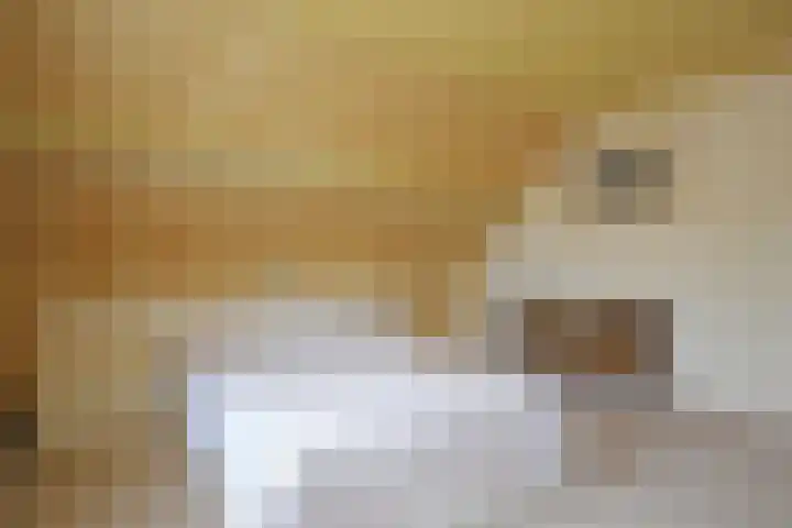 Fogelsang 24 De Westereen thumbnail 51