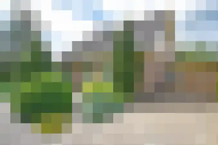 Fogelsang 24 De Westereen thumbnail 6