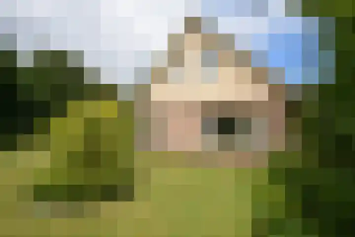Fogelsang 24 De Westereen thumbnail 8