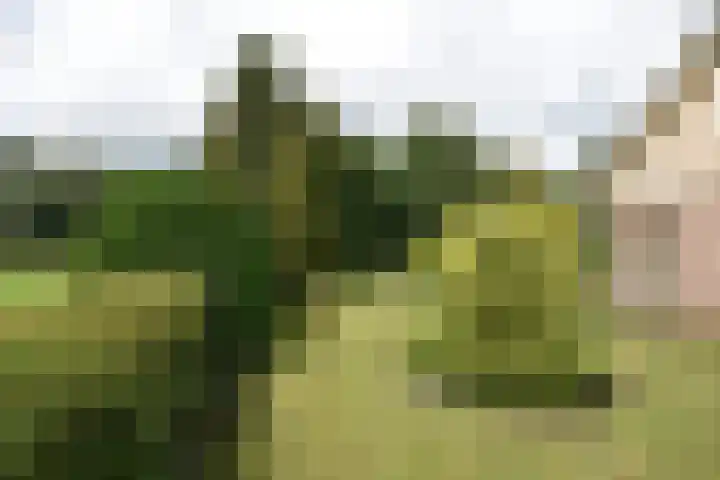 Fogelsang 24 De Westereen thumbnail 9