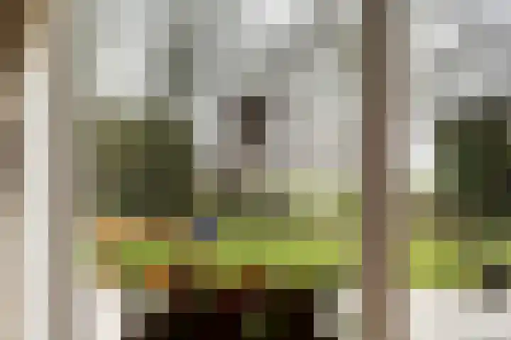 Fogelsang 5 St.-Annaparochie thumbnail 11