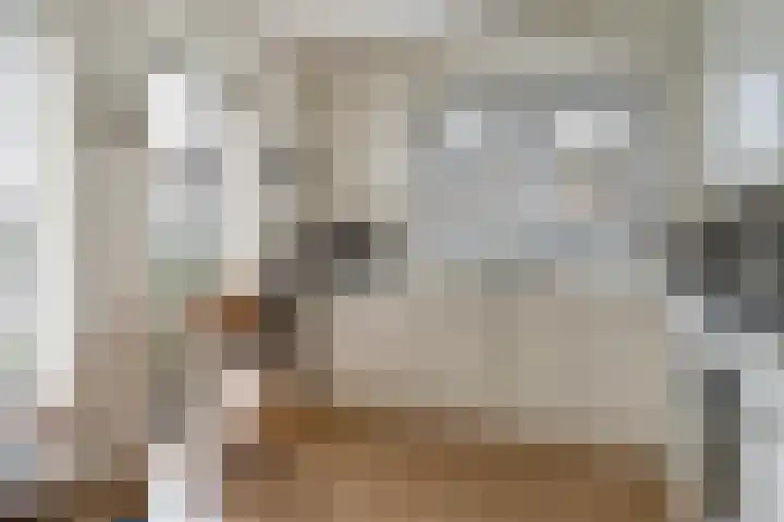 Fogelsang 5 St.-Annaparochie thumbnail 17