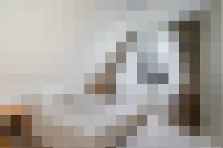 Fogelsang 5 St.-Annaparochie thumbnail 23