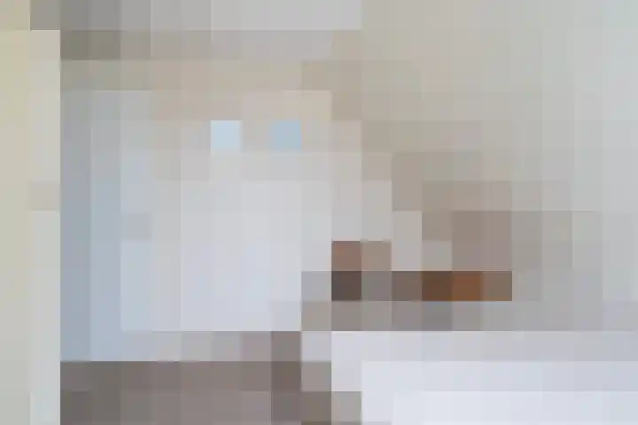 Fogelsang 5 St.-Annaparochie thumbnail 25