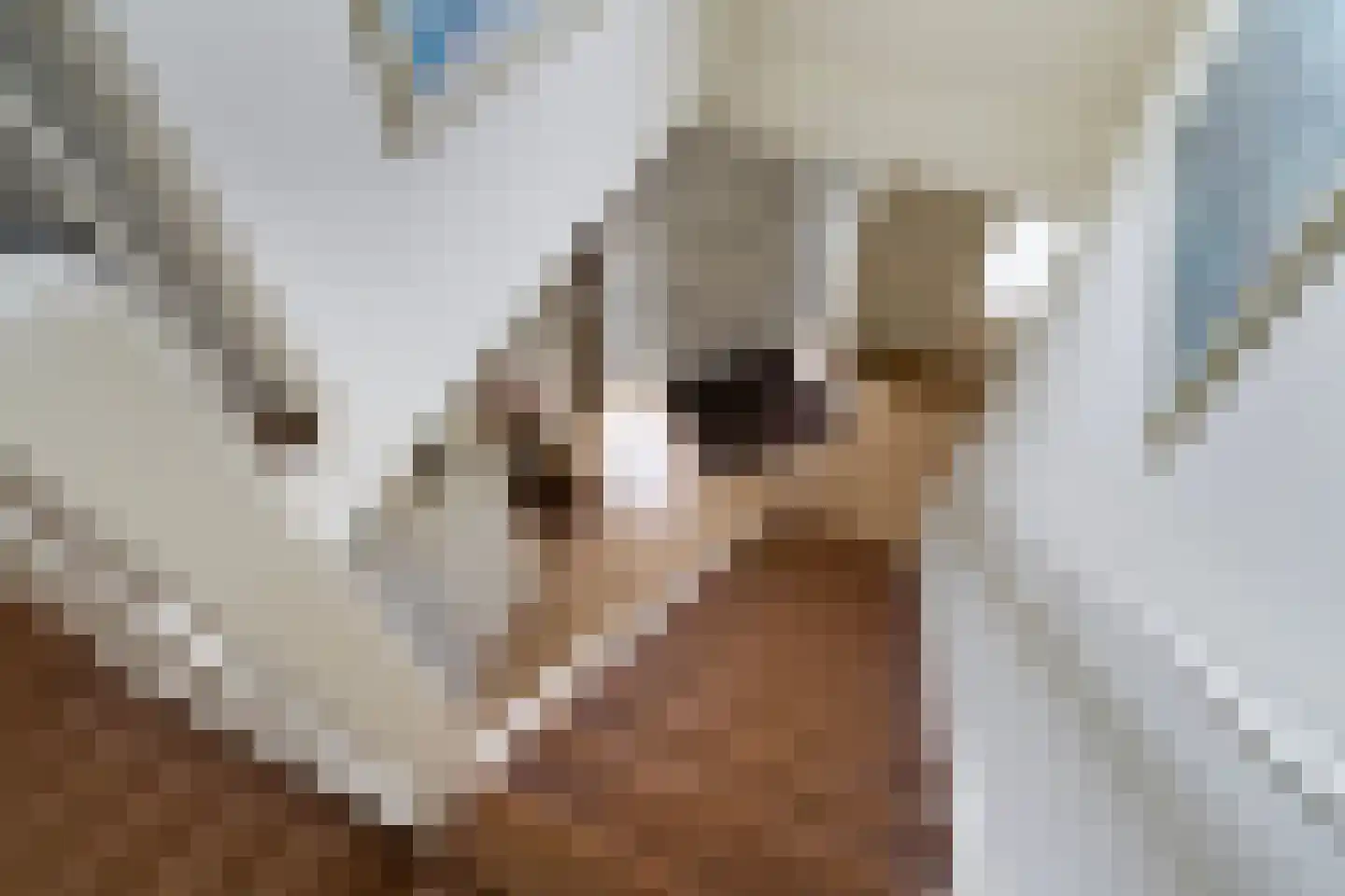 Fogelsang 5 St.-Annaparochie thumbnail 28