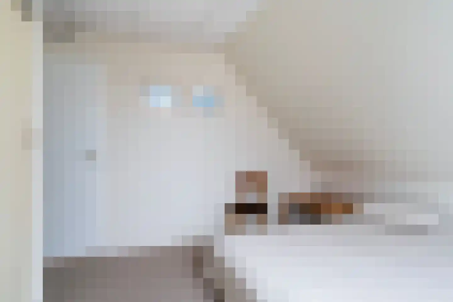 Fogelsang 5 St.-Annaparochie thumbnail 32