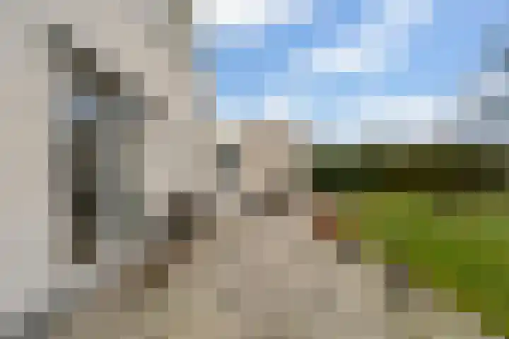 Fogelsang 5 St.-Annaparochie thumbnail 36