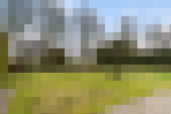 Fogelsang 5 St.-Annaparochie thumbnail 39