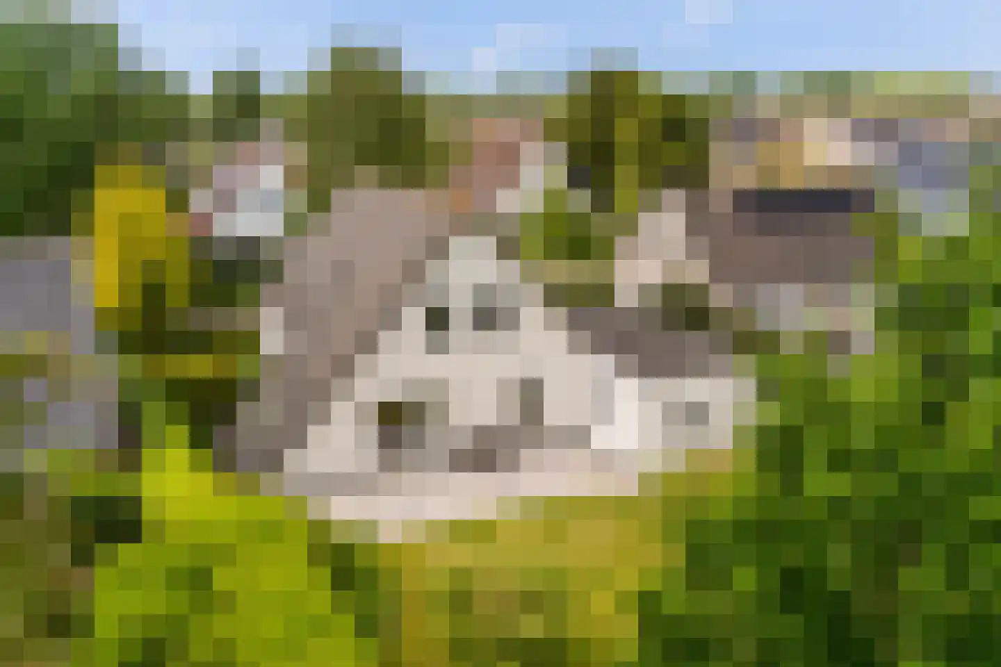 Fogelsang 5 St.-Annaparochie thumbnail 4