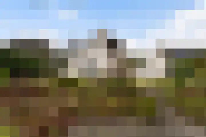 Fogelsang 5 St.-Annaparochie thumbnail 40