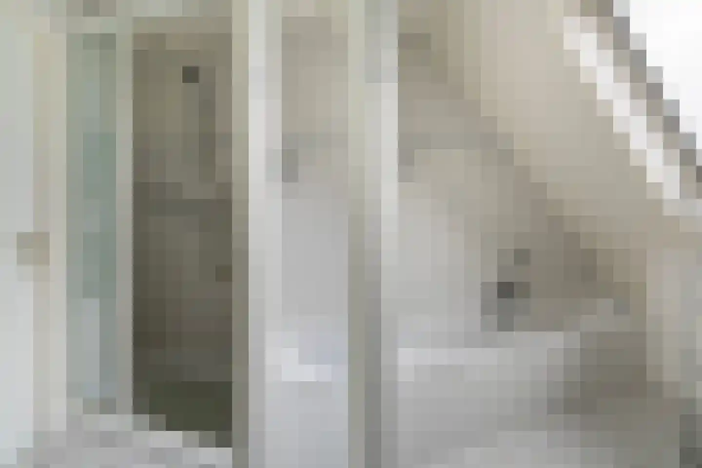 Fogelsang 5 St.-Annaparochie thumbnail 42