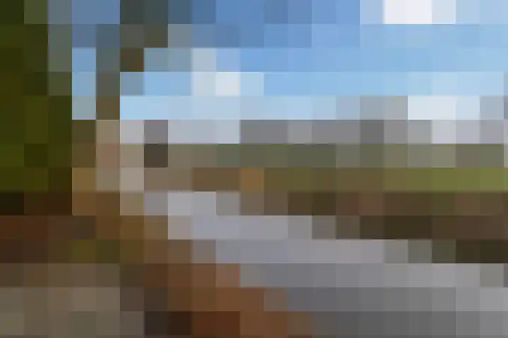 Fogelsang 5 St.-Annaparochie thumbnail 42