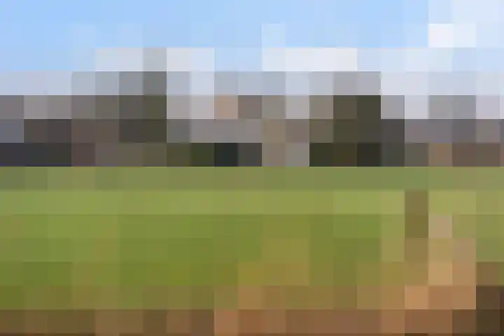 Fogelsang 5 St.-Annaparochie thumbnail 43