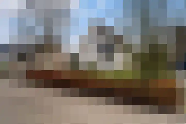 Fogelsang 5 St.-Annaparochie thumbnail 46