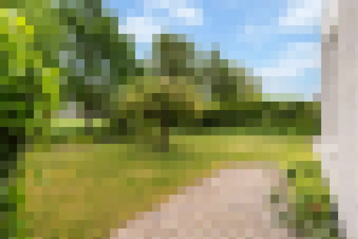 Fogelsang 5 St.-Annaparochie thumbnail 48