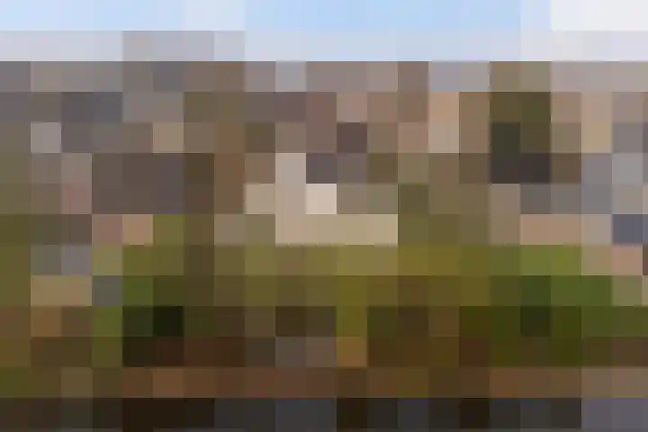 Fogelsang 5 St.-Annaparochie thumbnail 49