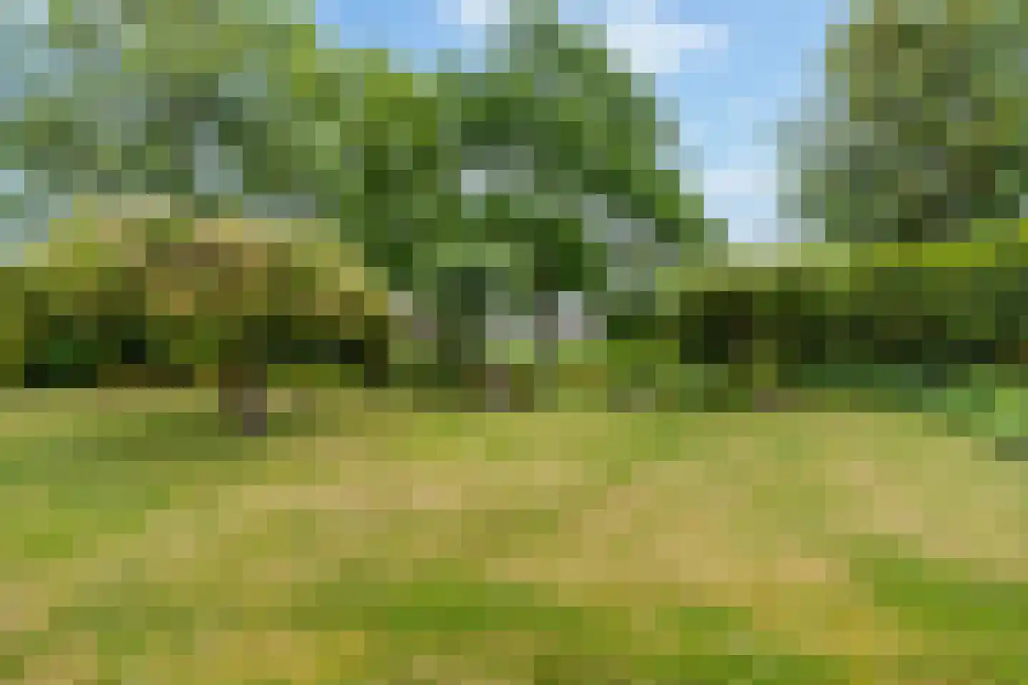 Fogelsang 5 St.-Annaparochie thumbnail 49