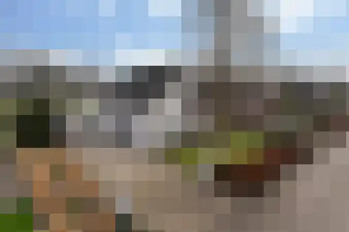 Fogelsang 5 St.-Annaparochie thumbnail 5