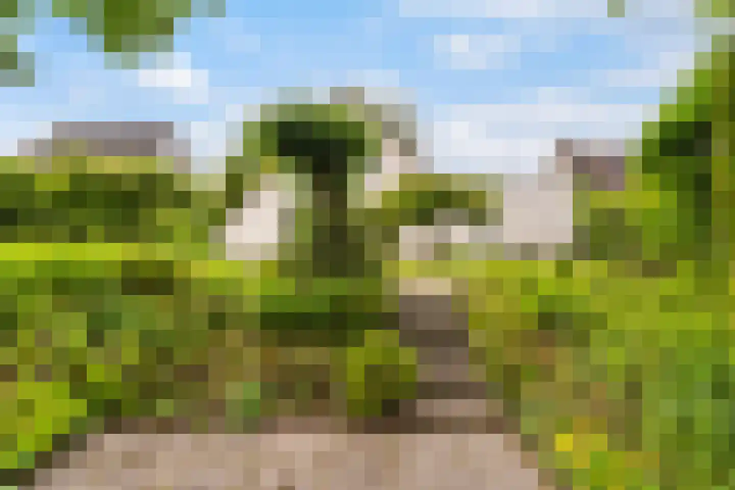 Fogelsang 5 St.-Annaparochie thumbnail 51