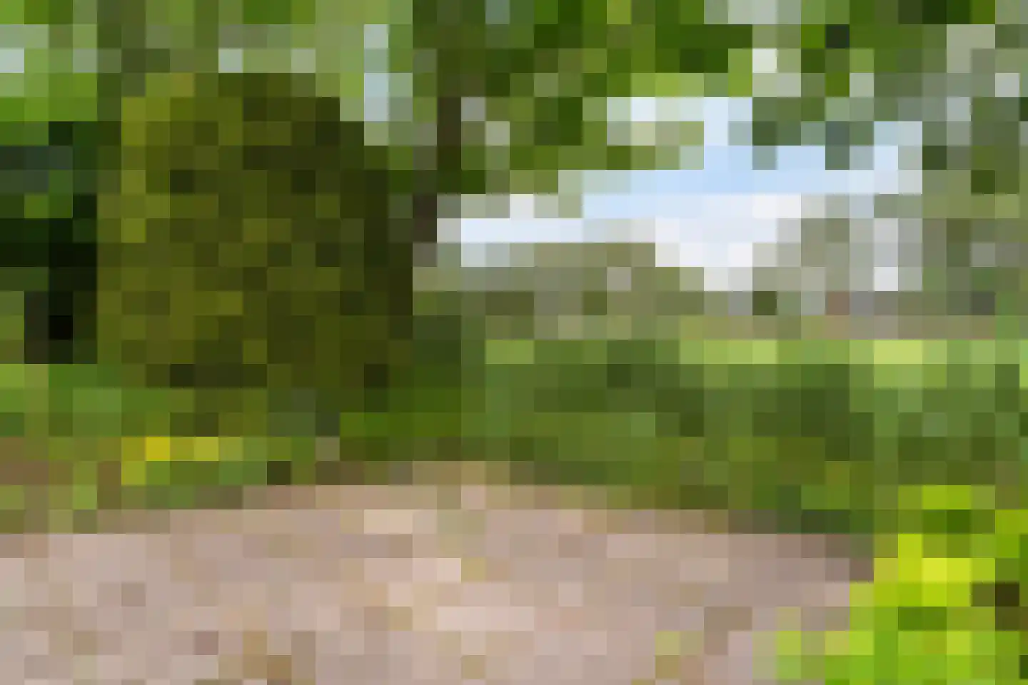 Fogelsang 5 St.-Annaparochie thumbnail 52