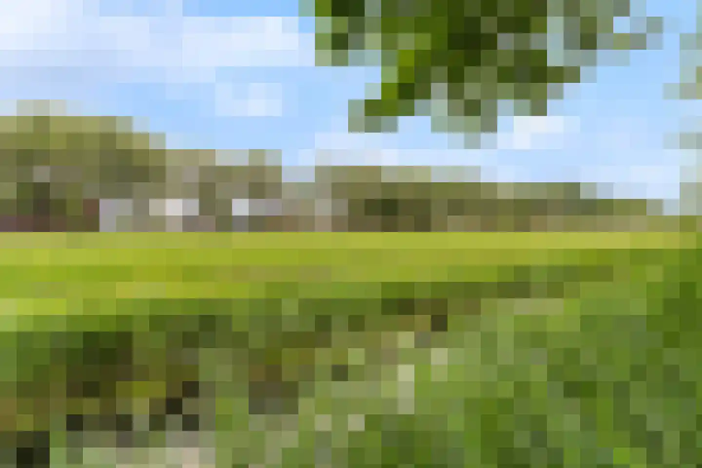 Fogelsang 5 St.-Annaparochie thumbnail 54