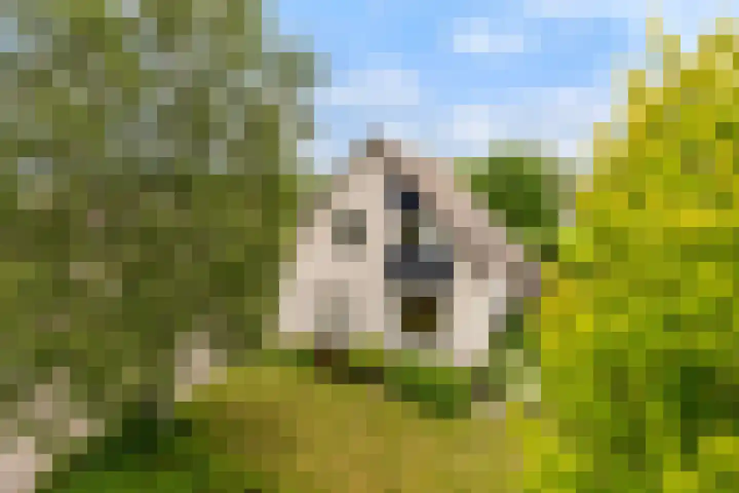 Fogelsang 5 St.-Annaparochie thumbnail 57